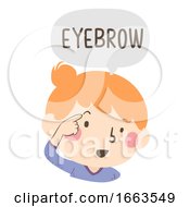 Poster, Art Print Of Kid Girl Naming Body Parts Eyebrow Illustration