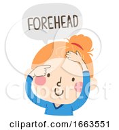 Poster, Art Print Of Kid Girl Naming Body Parts Forehead Illustration