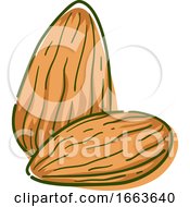 Poster, Art Print Of Almond Superfood Illustration
