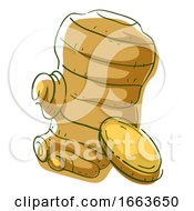 Ginger Superfood Illustration