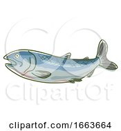 Poster, Art Print Of Wild Salmon Superfood Illustration