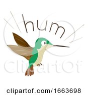 Poster, Art Print Of Hummingbird Sound Hum Illustration