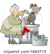 Poster, Art Print Of Chubby Lady Grooming Dogs