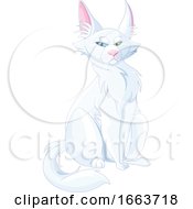Poster, Art Print Of Sitting Evil White Cat