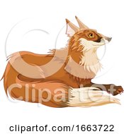 Poster, Art Print Of Cute Resting Fox
