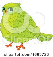 Poster, Art Print Of Cute Chubby Green Bird