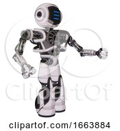 Droid Containing Digital Display Head And Three Horizontal Line Design And Heavy Upper Chest And No Chest Plating And Light Leg Exoshielding And Stomper Foot Mod