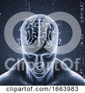 Poster, Art Print Of 3d Medical Background With Technology Design On Male Figure With Brain Highlighted