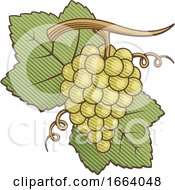 Poster, Art Print Of Woodcut Style Green Grapes