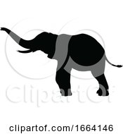 Poster, Art Print Of Elephant Silhouette