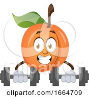 Poster, Art Print Of Apricot Lifting Weights