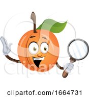 Poster, Art Print Of Apricot With Magnifier Tool
