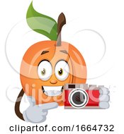 Poster, Art Print Of Apricot With Camera
