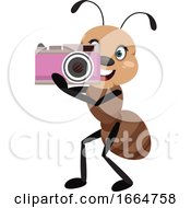 Poster, Art Print Of Ant With Camera