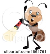 Poster, Art Print Of Ant With Flashlight