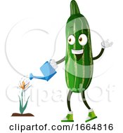 Poster, Art Print Of Cucumber Watering Plant