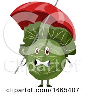 Poster, Art Print Of Cabbage With An Umbrella