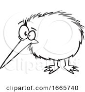 Cartoon Black And White Kiwi Bird