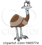 Cartoon Emu Bird