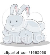 Poster, Art Print Of Gray Bunny Rabbit