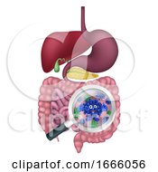 Poster, Art Print Of Bacteria Cartoon Mascot In Gut Or Intestines