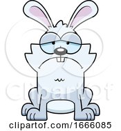 Cartoon Sad White Bunny Rabbit