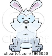 Cartoon Surprised White Bunny Rabbit