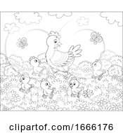 Poster, Art Print Of Black And White Hen And Chicks