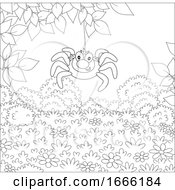 Poster, Art Print Of Black And White Happy Spider
