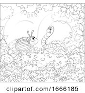 Poster, Art Print Of Black And White Beetle And Worm