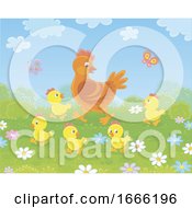 Poster, Art Print Of Hen And Chicks