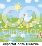 Poster, Art Print Of Duck And Ducklings
