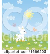 Poster, Art Print Of Cute Baby Goat