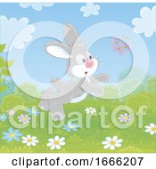 Poster, Art Print Of Bunny Rabbit Chasing A Butterfly