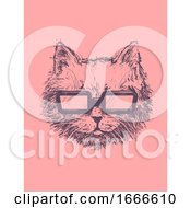 Poster, Art Print Of Cat Sketch Sunglasses Illustration