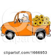 Poster, Art Print Of Cartoon Farmer Driving A Truck Full Of Sunflowers