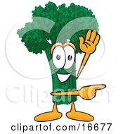 Green Broccoli Food Mascot Cartoon Character Waving And Pointing by Mascot Junction