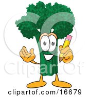 Green Broccoli Food Mascot Cartoon Character Holding A Pencil