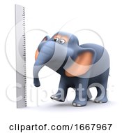 3d Elephant Measures Up