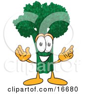 Green Broccoli Food Mascot Cartoon Character With Open Arms