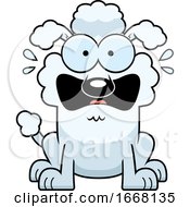 Poster, Art Print Of Cartoon Scared White Poodle Dog