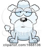 Poster, Art Print Of Cartoon Sad White Poodle Dog