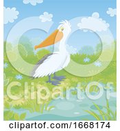 Poster, Art Print Of Pelican At A Pond