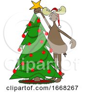 Moose Decorating A Christmas Tree