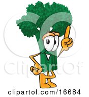 Green Broccoli Food Mascot Cartoon Character Pointing Up