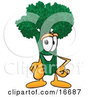 Clipart Picture Of A Green Broccoli Food Mascot Cartoon Character Pointing Outwards