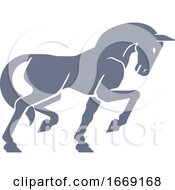 Horse Concept