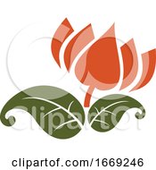 Indian Lotus Flower