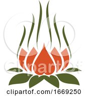 Indian Lotus Flower
