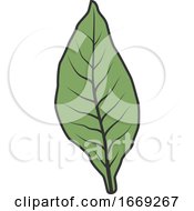 Poster, Art Print Of Tobacco Leaf